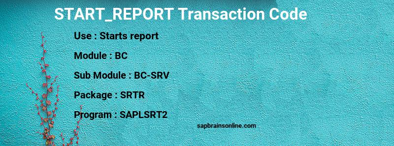 SAP START_REPORT transaction code