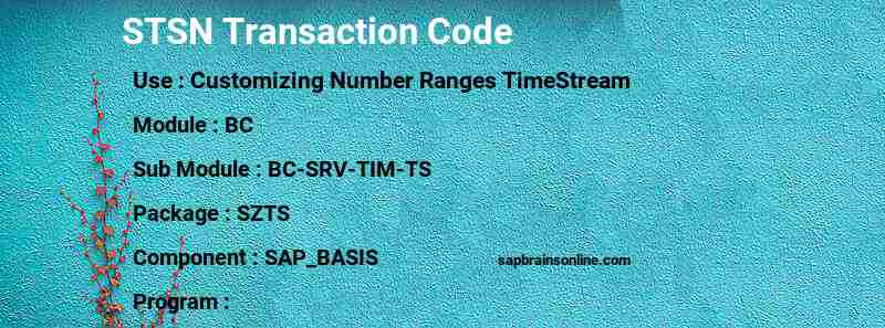 SAP STSN transaction code