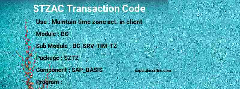 SAP STZAC transaction code