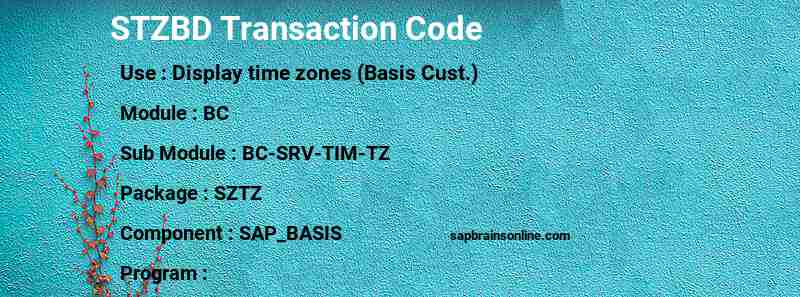 SAP STZBD transaction code