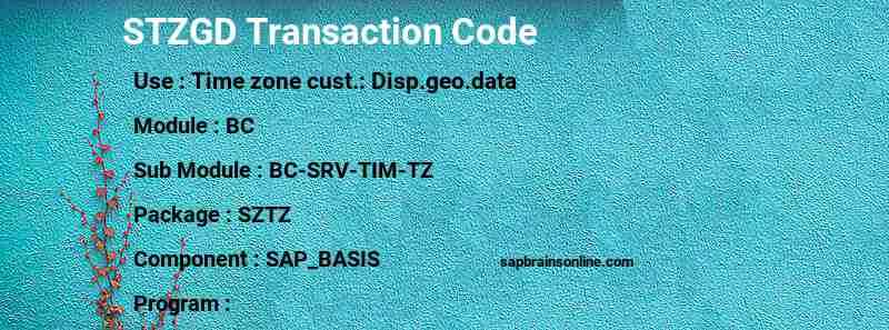 SAP STZGD transaction code