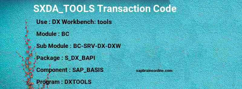 SAP SXDA_TOOLS transaction code