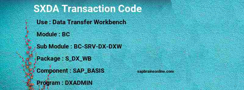 SAP SXDA transaction code
