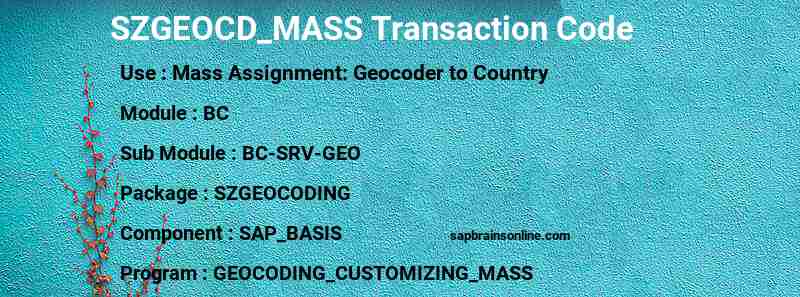 SAP SZGEOCD_MASS transaction code
