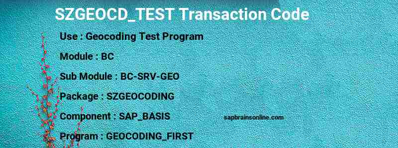 SAP SZGEOCD_TEST transaction code