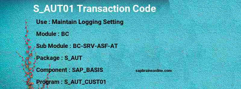 SAP S_AUT01 transaction code