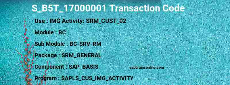 SAP S_B5T_17000001 transaction code