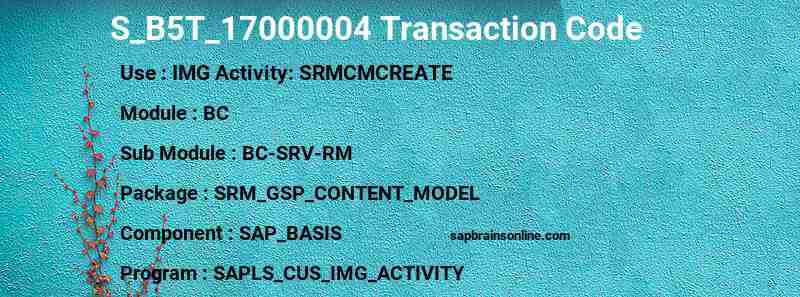 SAP S_B5T_17000004 transaction code