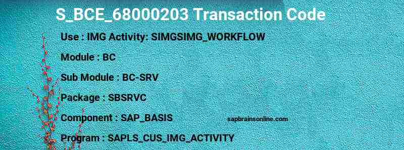 SAP S_BCE_68000203 transaction code