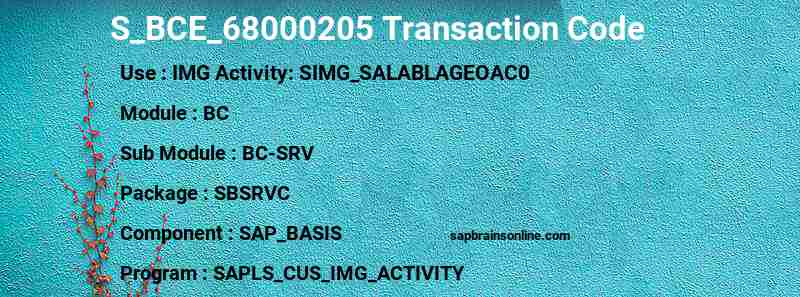 SAP S_BCE_68000205 transaction code