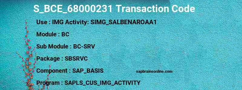 SAP S_BCE_68000231 transaction code