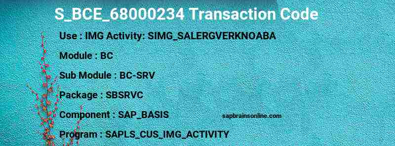 SAP S_BCE_68000234 transaction code
