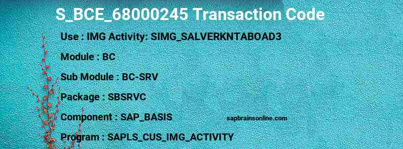 SAP S_BCE_68000245 transaction code