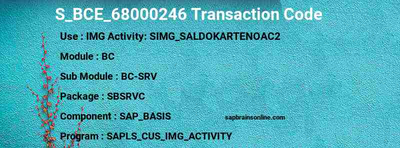 SAP S_BCE_68000246 transaction code