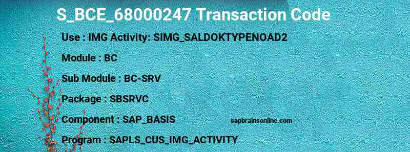 SAP S_BCE_68000247 transaction code