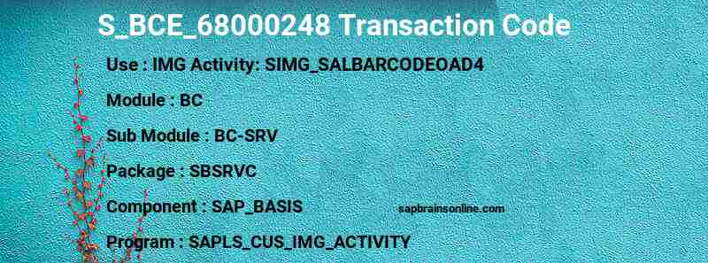 SAP S_BCE_68000248 transaction code