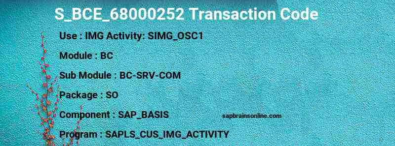 SAP S_BCE_68000252 transaction code