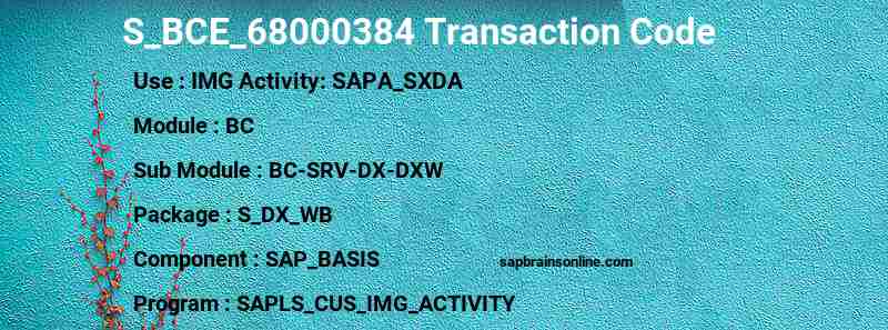 SAP S_BCE_68000384 transaction code
