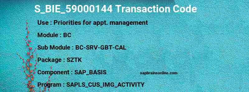 SAP S_BIE_59000144 transaction code