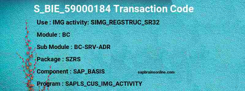 SAP S_BIE_59000184 transaction code