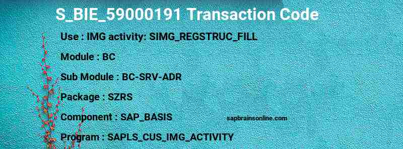 SAP S_BIE_59000191 transaction code