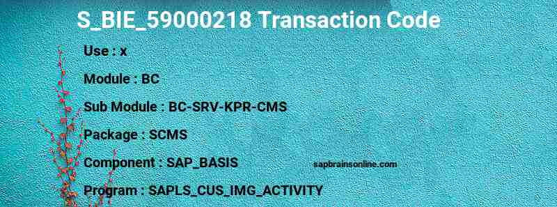 SAP S_BIE_59000218 transaction code