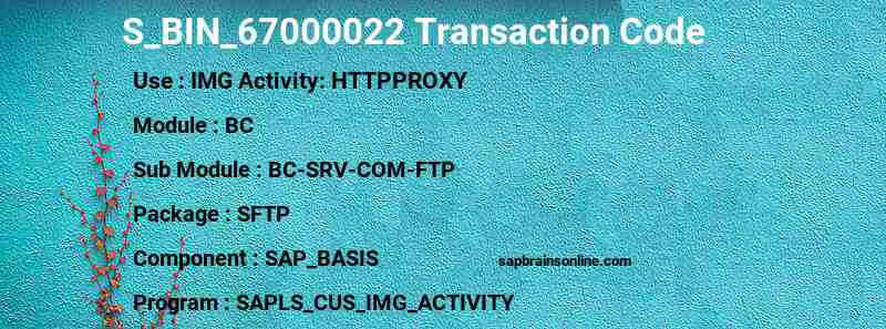 SAP S_BIN_67000022 transaction code