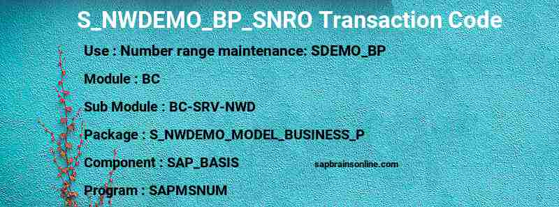 SAP S_NWDEMO_BP_SNRO transaction code