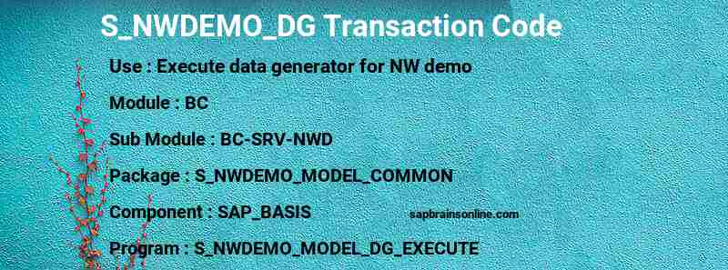 SAP S_NWDEMO_DG transaction code