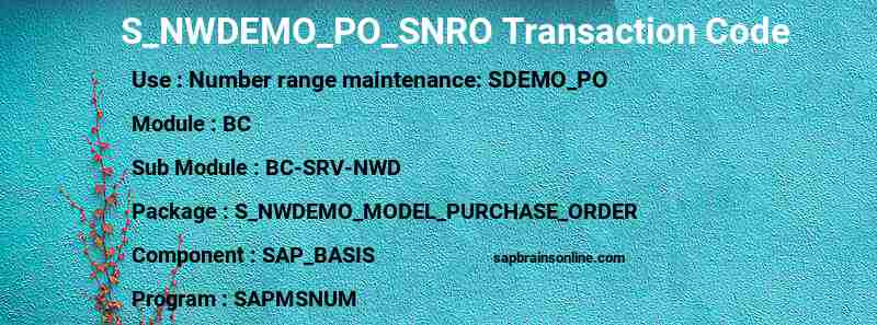 SAP S_NWDEMO_PO_SNRO transaction code
