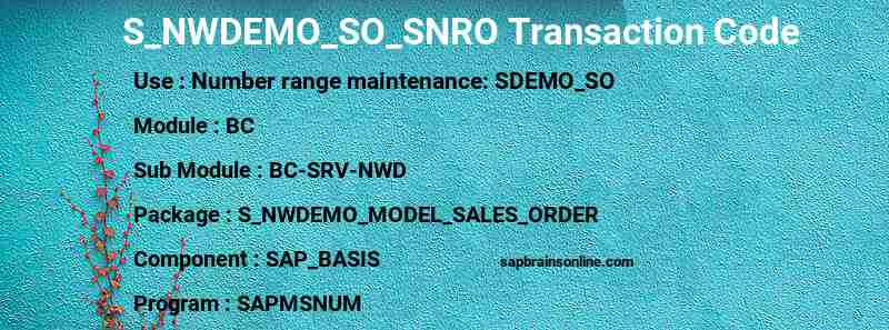 SAP S_NWDEMO_SO_SNRO transaction code