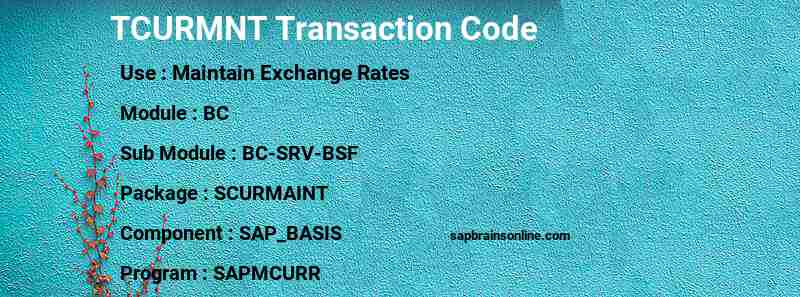 SAP TCURMNT transaction code