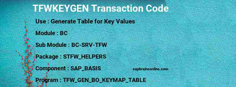 SAP TFWKEYGEN transaction code