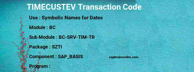 SAP TIMECUSTEV transaction code