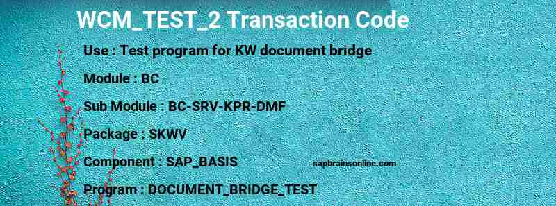 SAP WCM_TEST_2 transaction code