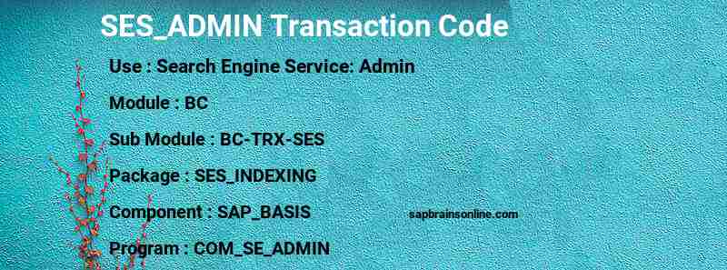 SAP SES_ADMIN transaction code