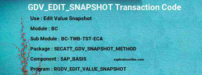 SAP GDV_EDIT_SNAPSHOT transaction code
