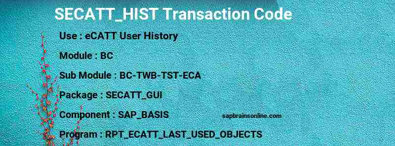 SAP SECATT_HIST transaction code