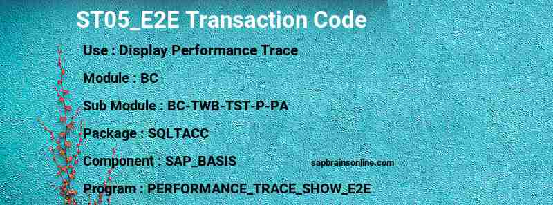 SAP ST05_E2E transaction code