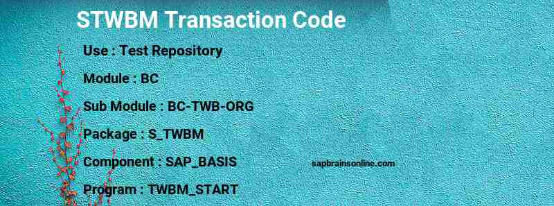 SAP STWBM transaction code