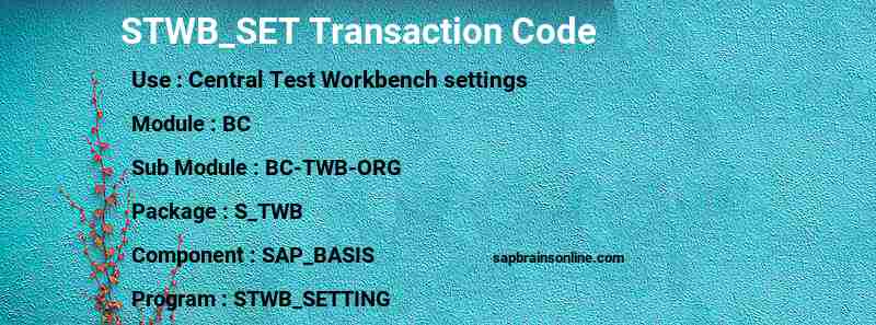 SAP STWB_SET transaction code