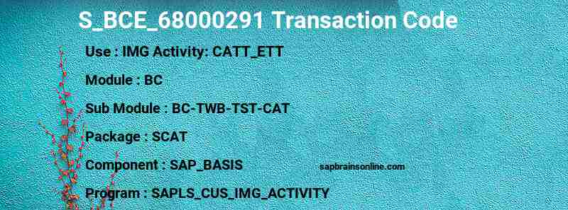 SAP S_BCE_68000291 transaction code