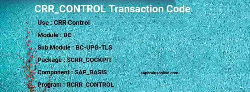 SAP CRR_CONTROL transaction code