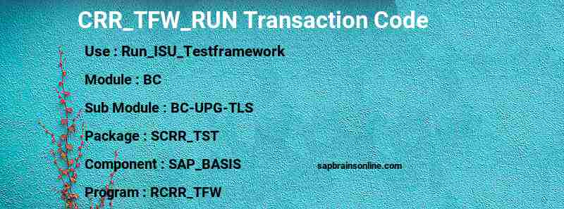 SAP CRR_TFW_RUN transaction code