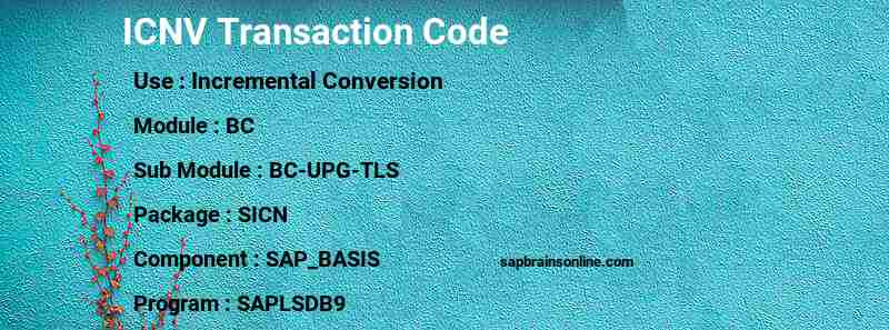 SAP ICNV transaction code