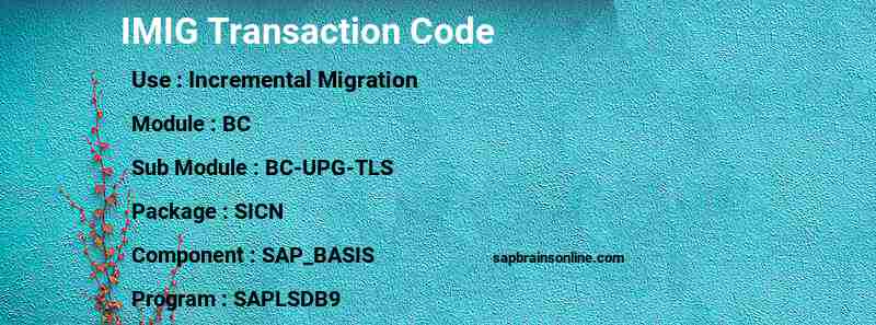 SAP IMIG transaction code