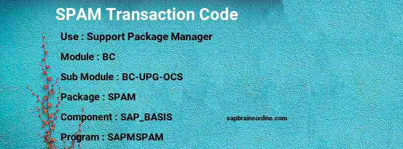 SAP SPAM transaction code