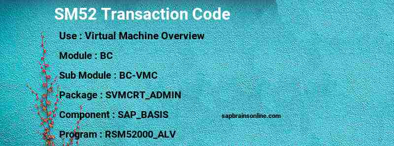 SAP SM52 transaction code
