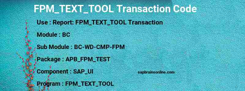 SAP FPM_TEXT_TOOL transaction code