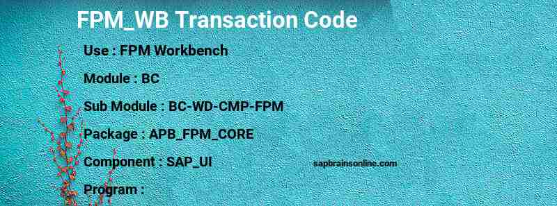 SAP FPM_WB transaction code